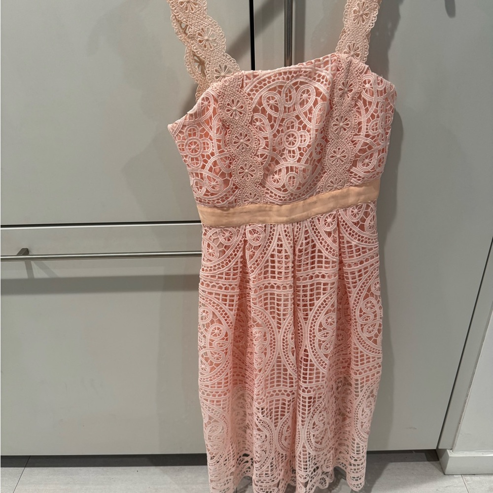 Pink Lace Sleeveless Dress New Without Tags